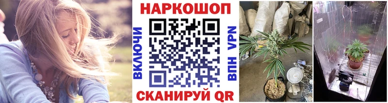 Купить закладку Псилоцибиновые грибы АМФЕТАМИН Мефедрон Гашиш Марихуана Кокаин Мышкин